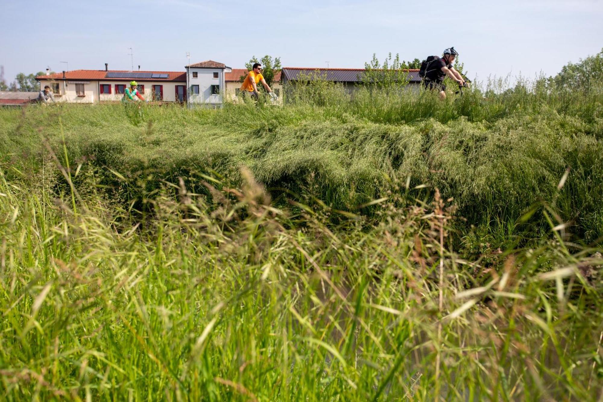 Agriturismo Al Botteniga Treviso Exteriér fotografie