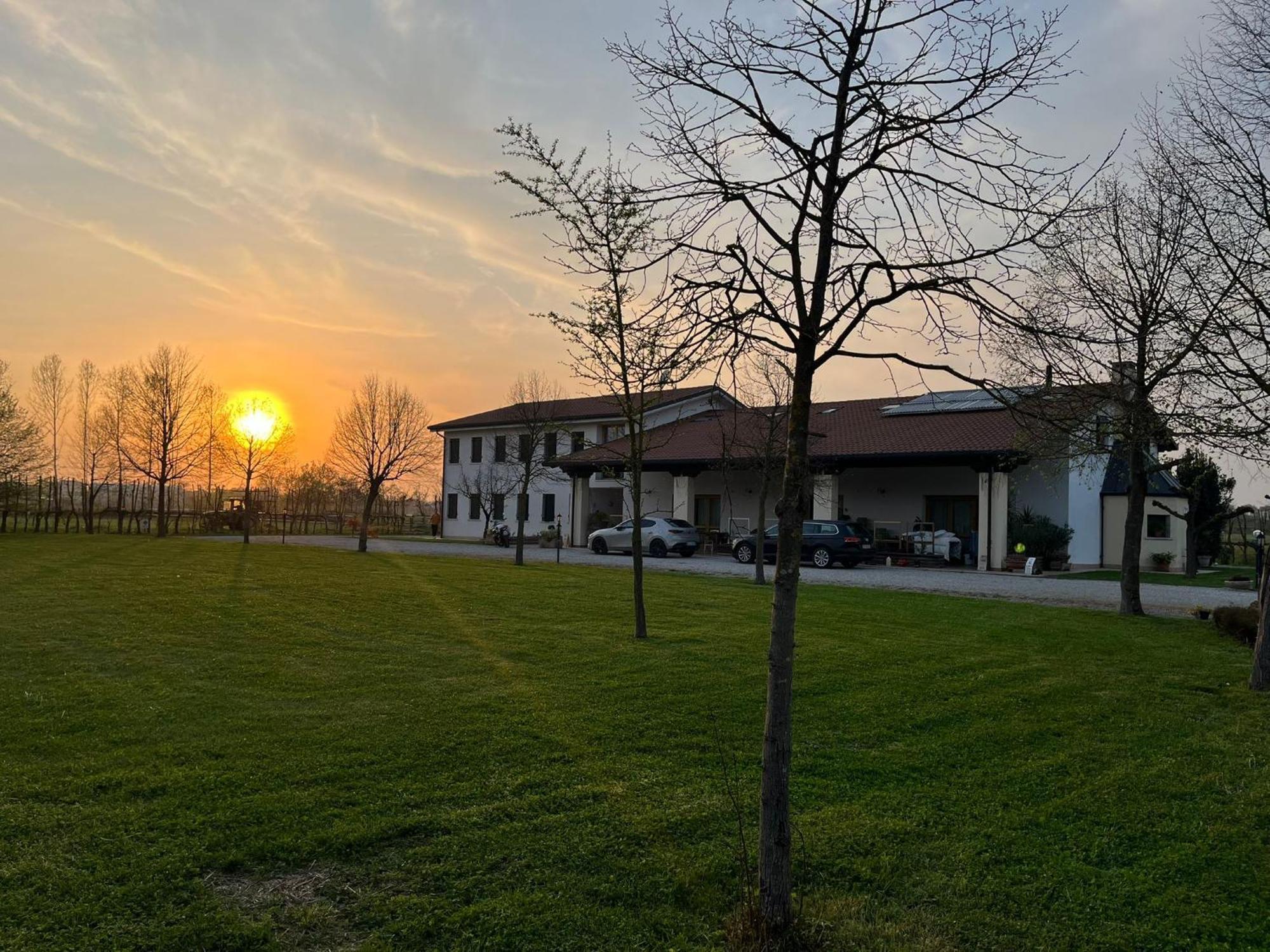 Agriturismo Al Botteniga Treviso Exteriér fotografie