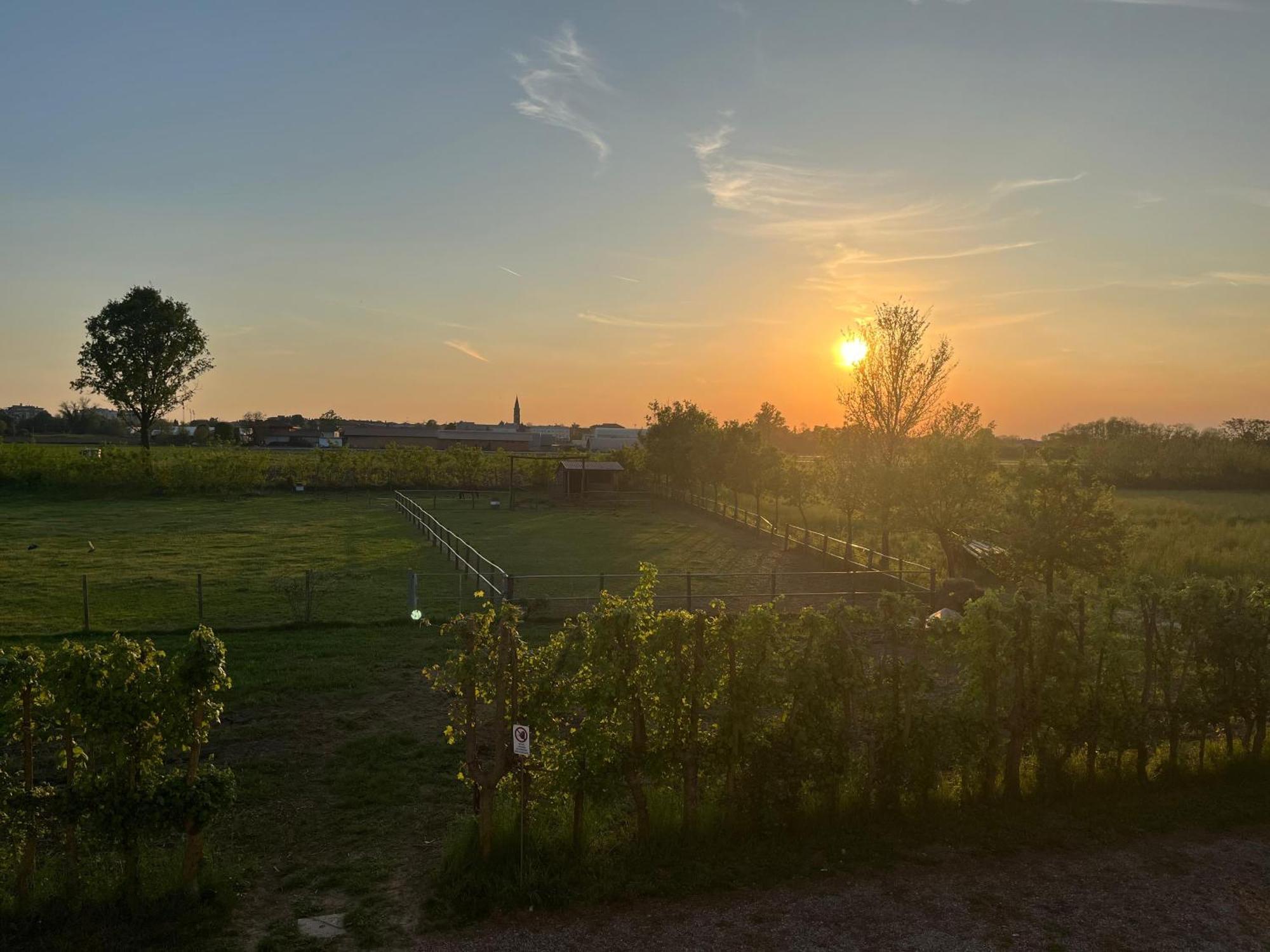 Agriturismo Al Botteniga Treviso Exteriér fotografie
