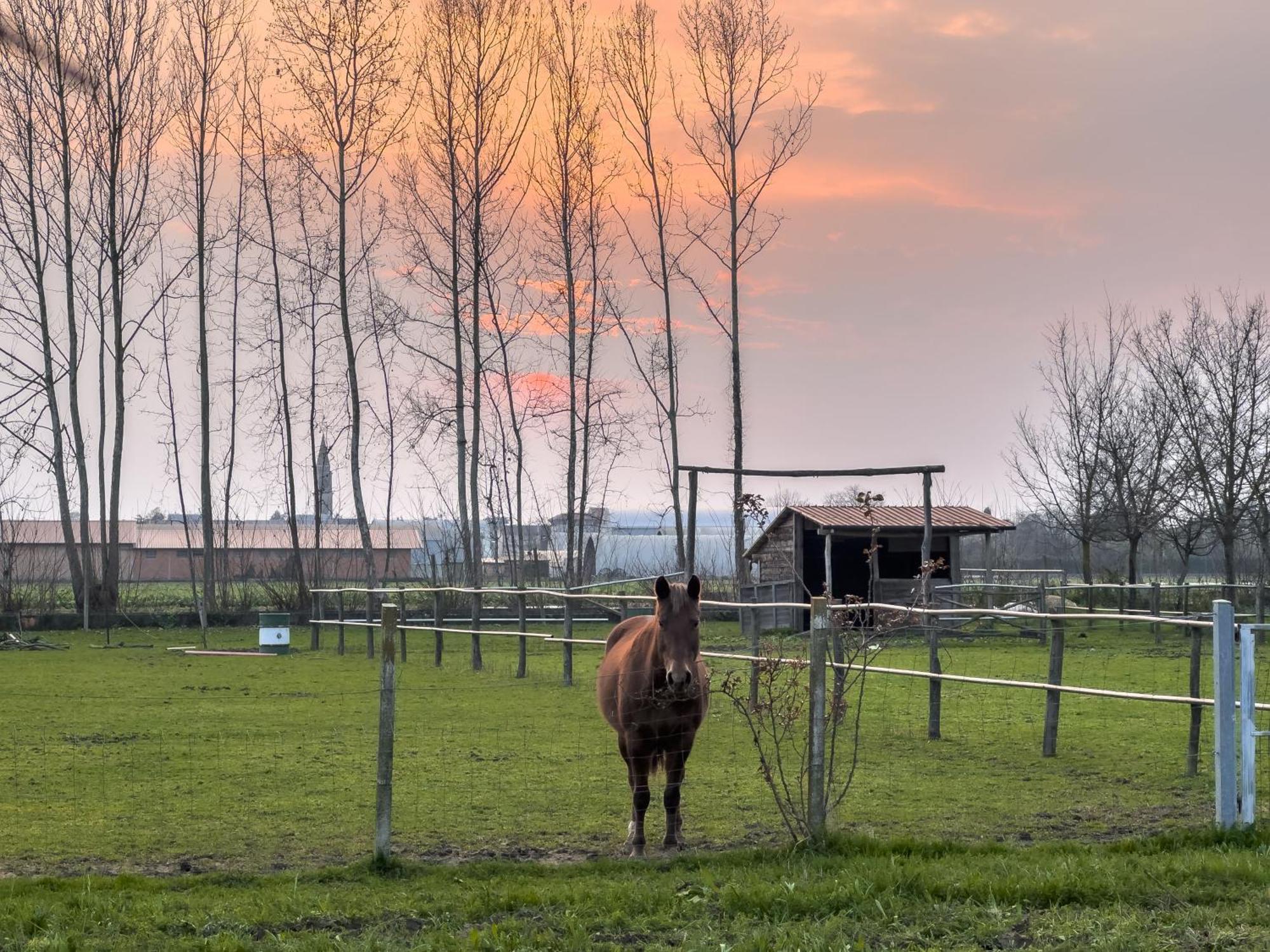 Agriturismo Al Botteniga Treviso Exteriér fotografie